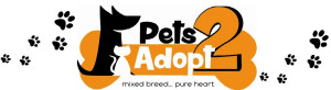 PEts2Adopt Cyprus Charity Bootcamp Logo